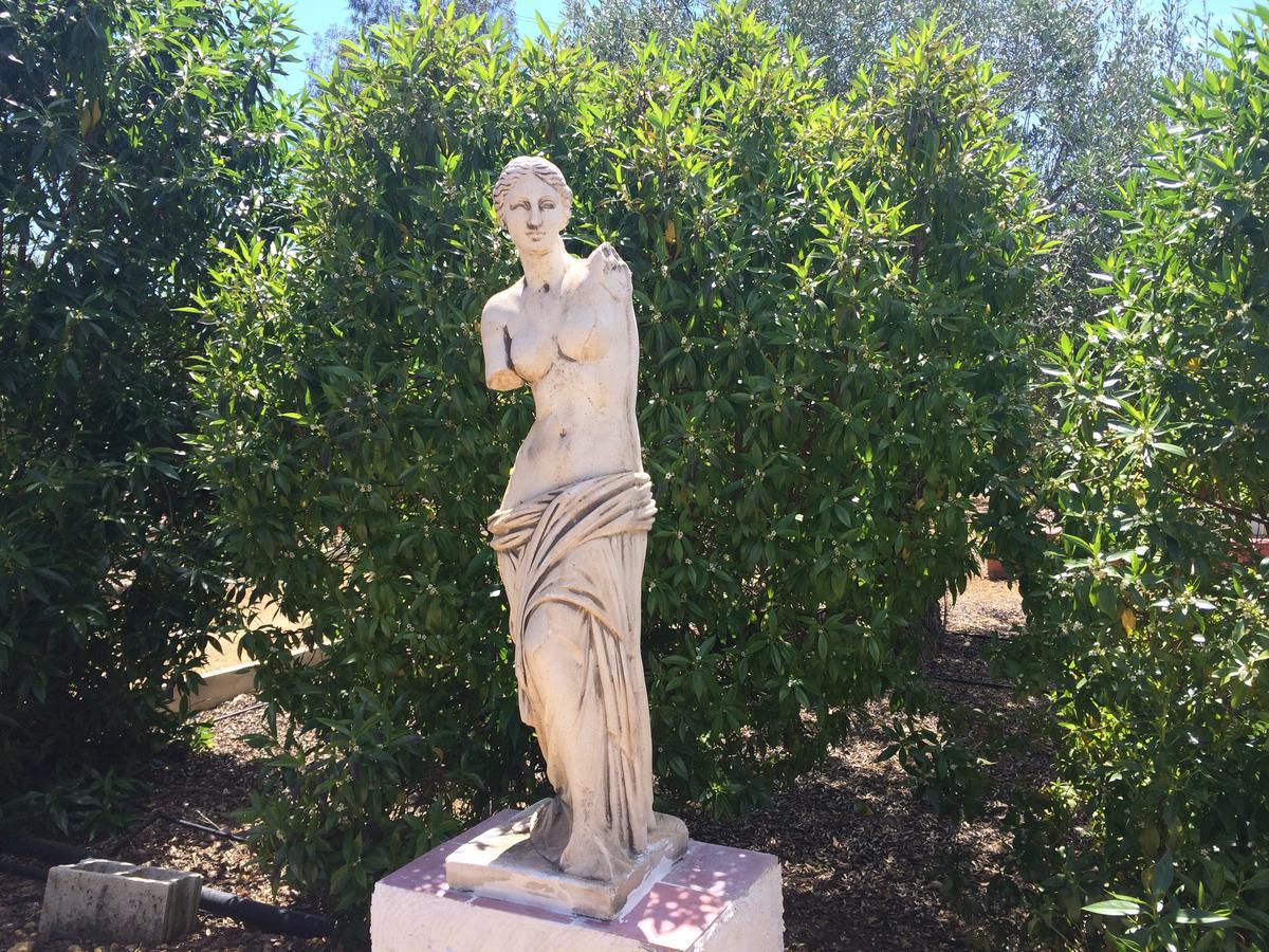 Hacienda Los Jinetes Carmona  Dış mekan fotoğraf